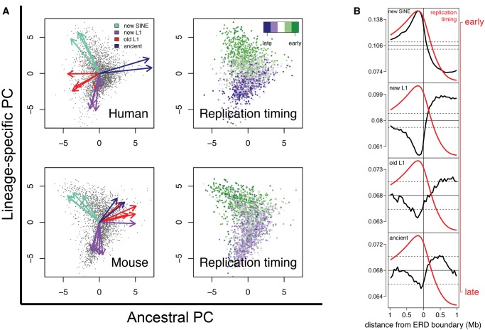 Similar Evolutionary Trajectories for Retrotransposon Accumulation in ...