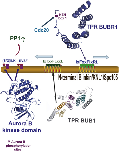 Figure 6