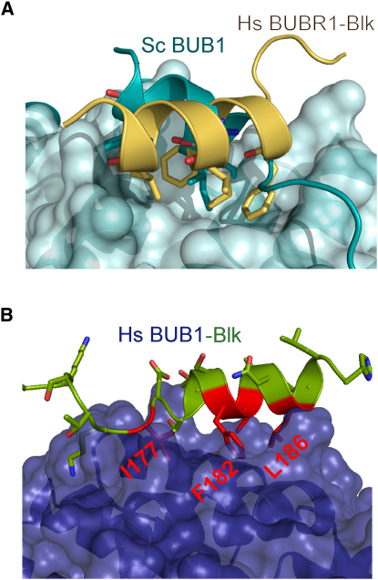 Figure 5