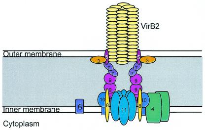 FIG. 3.