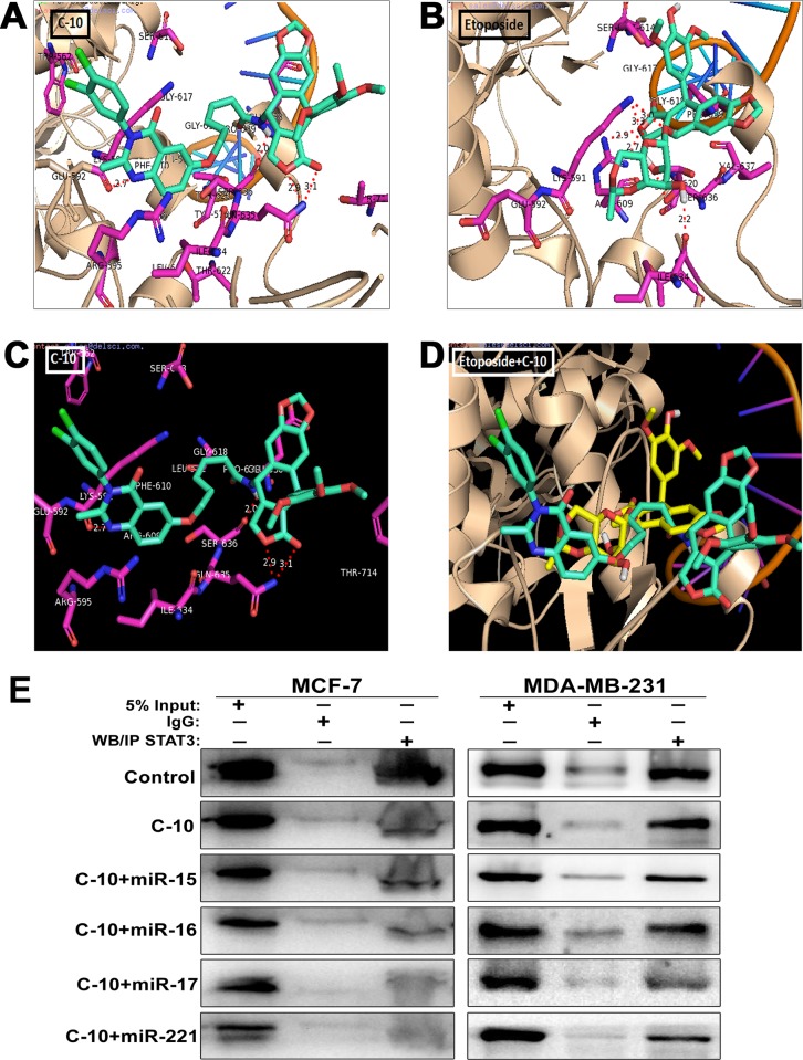 Fig 6