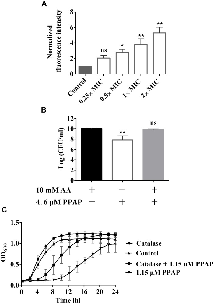 FIGURE 4