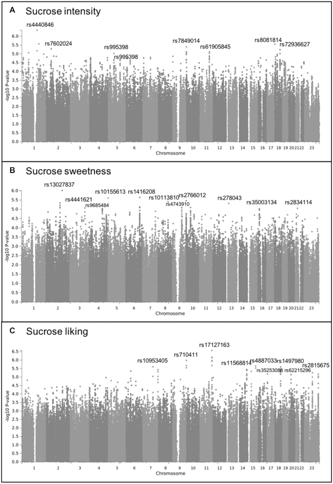 FIGURE 3