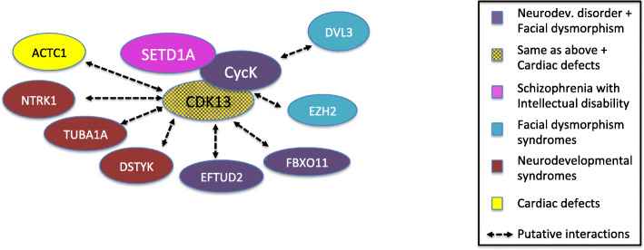 Fig. 3