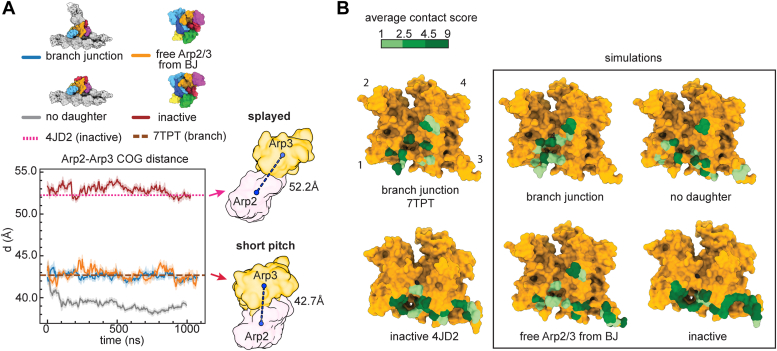 Figure 2