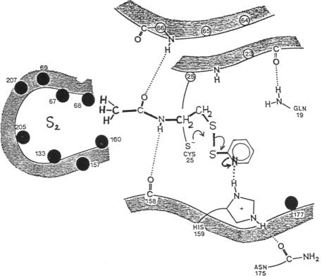 Scheme 2.