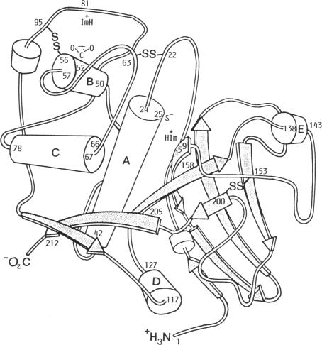 Scheme 4.