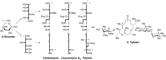 Fig. 2.