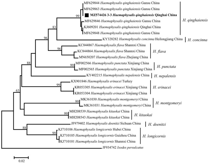 Figure 3