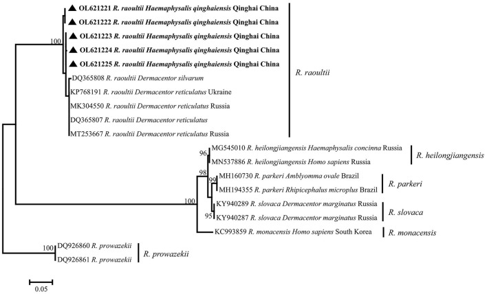 Figure 5