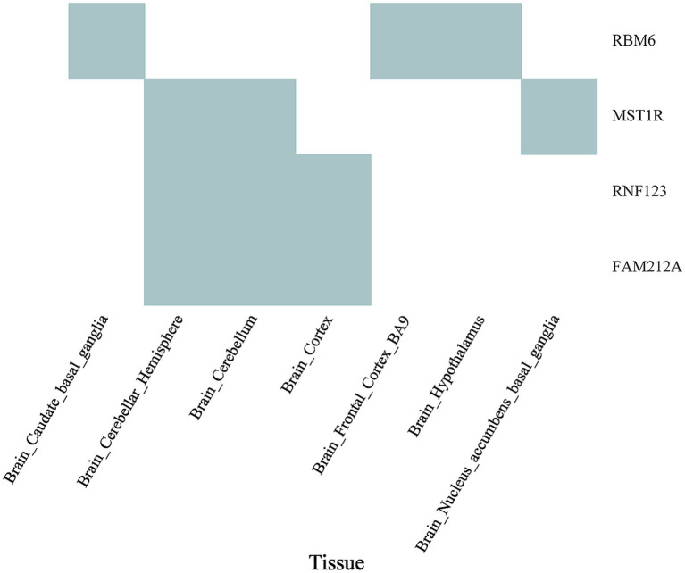 Figure 6