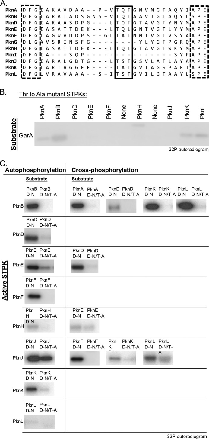 FIGURE 4.