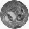 604-4