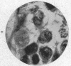 602-1