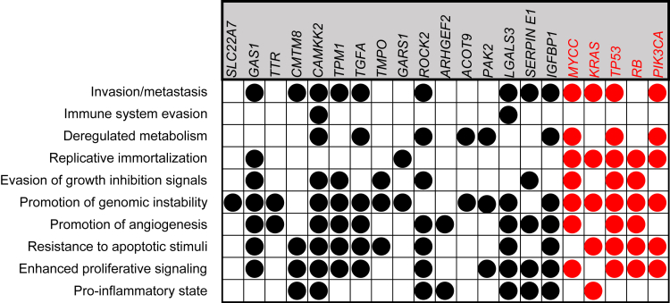 Figure 7