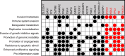 Figure 7