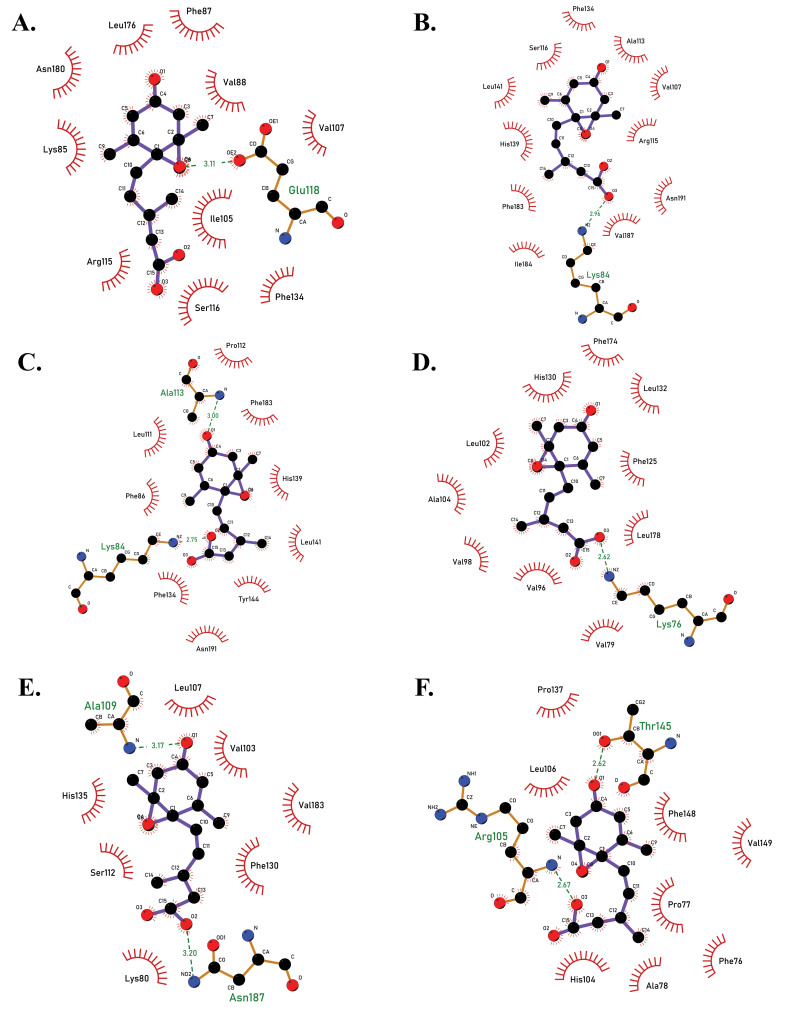 Fig. (3)