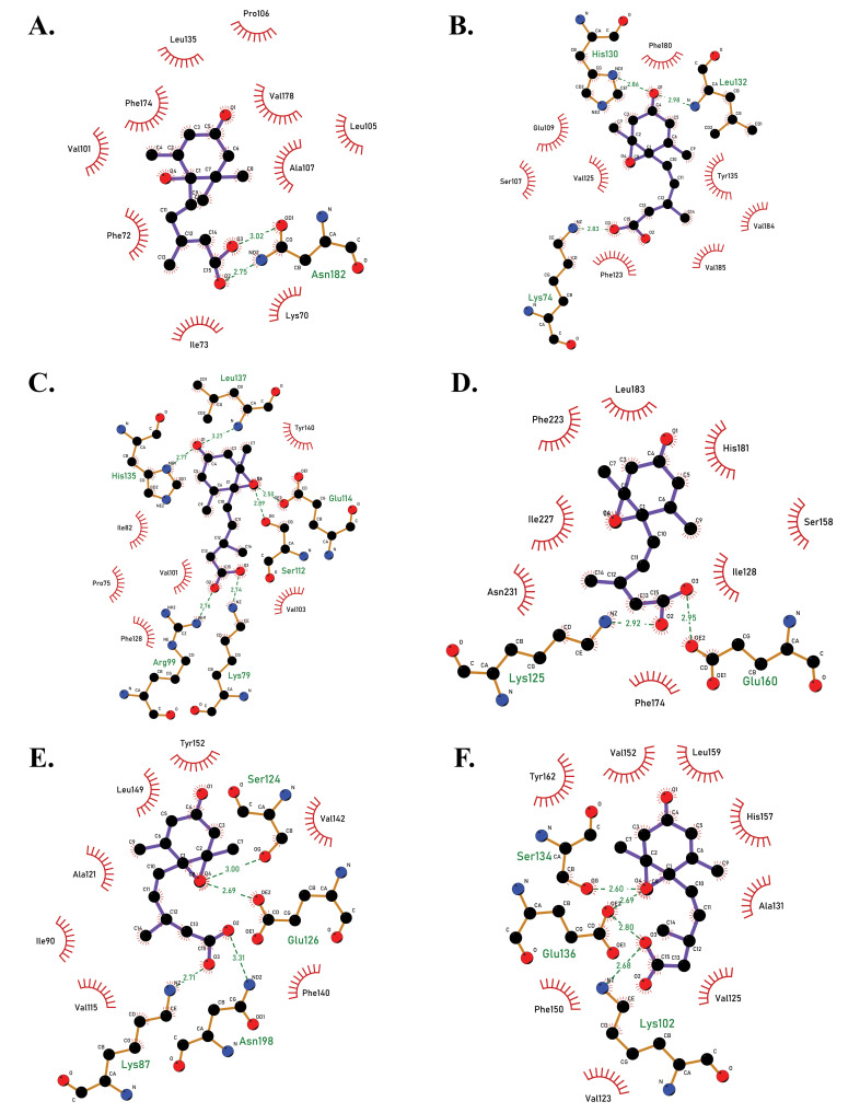 Fig. (2)