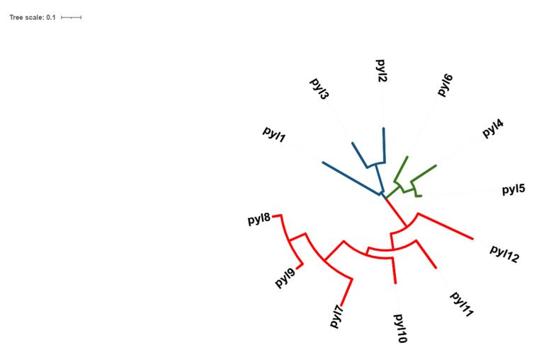 Fig. (1)