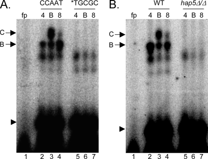 FIG. 7.