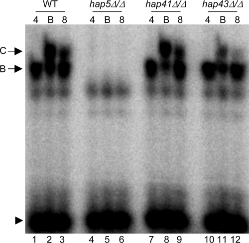 FIG. 9.