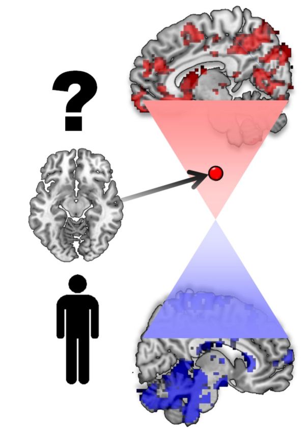 graphic file with name awv111fig1g.jpg