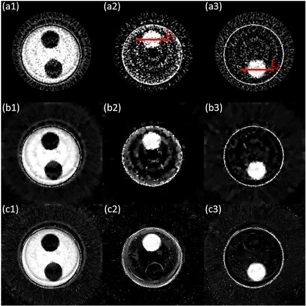 Fig. 10