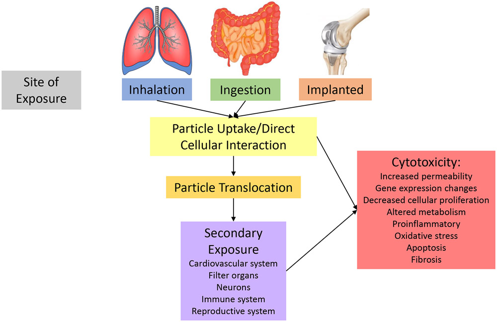 Figure 1: