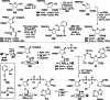 Scheme 16