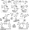 Scheme 10