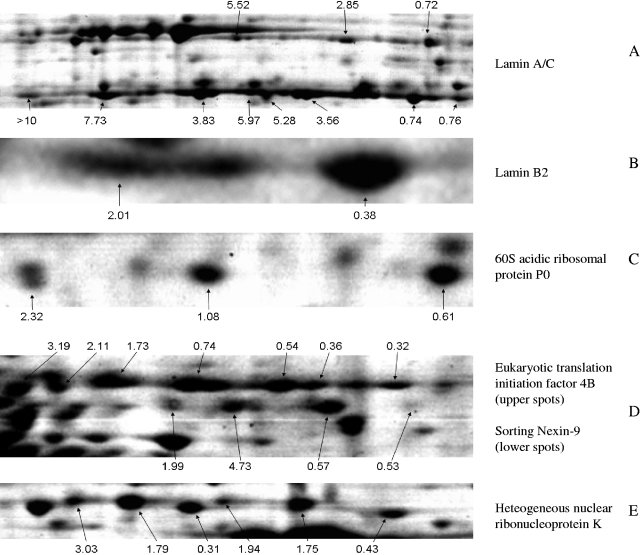 FIG. 7.