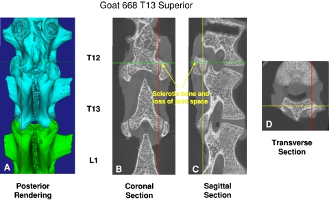 Fig. 3A–D