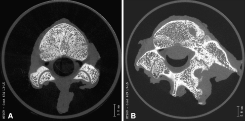 Fig. 4A–B