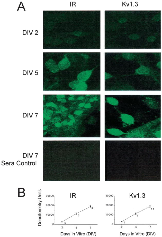 Fig. 8