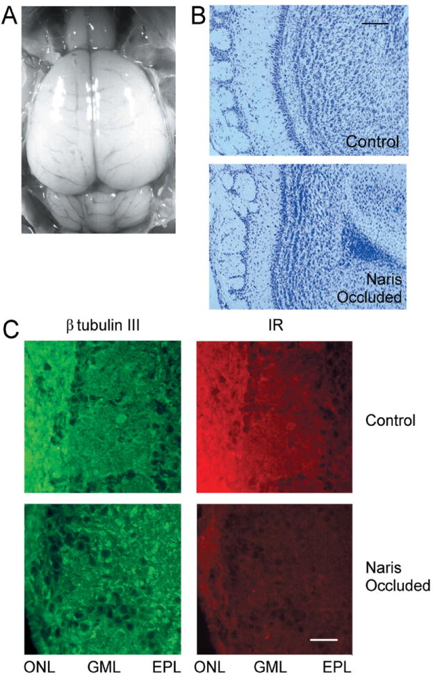 Fig. 9