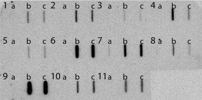 FIG. 6.