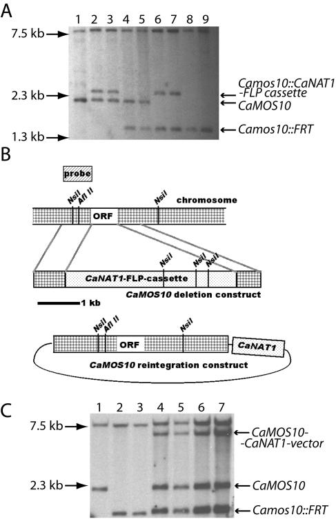 FIG. 4.