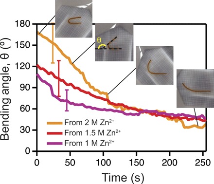 Fig. 4