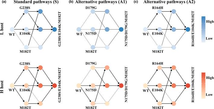 FIGURE 4