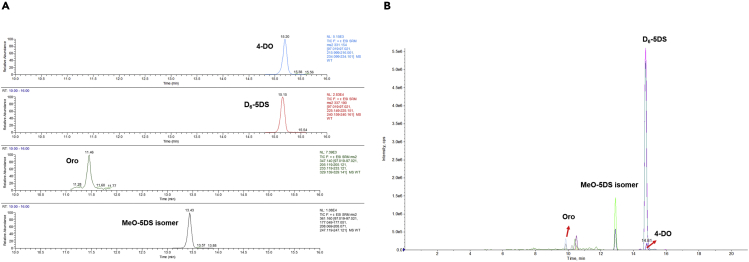 Figure 6