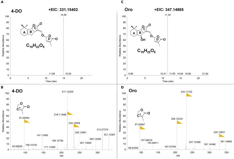 Figure 3