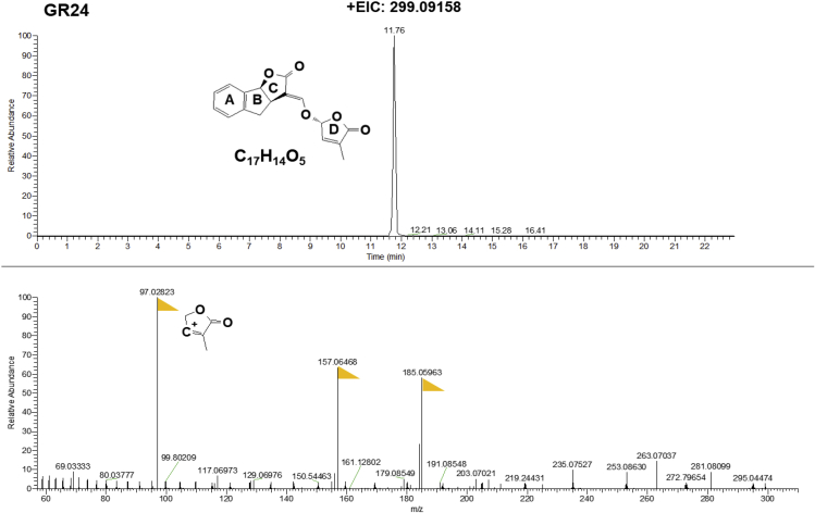 Figure 4