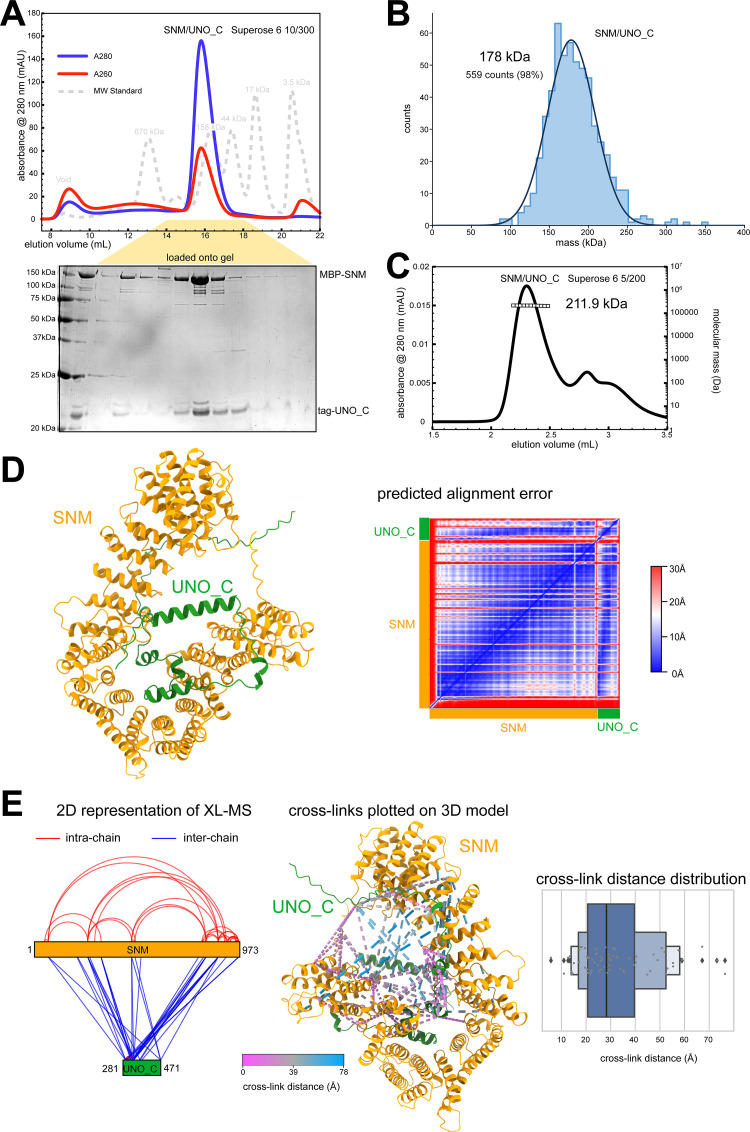 Fig 3