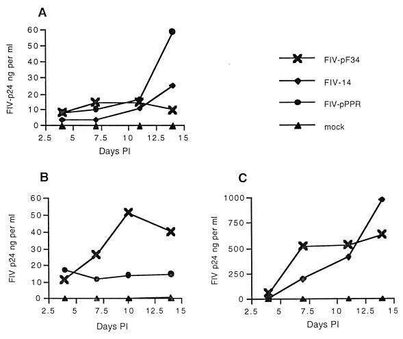 FIG. 3