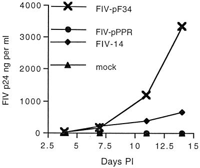 FIG. 1