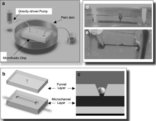 FIG. 2.