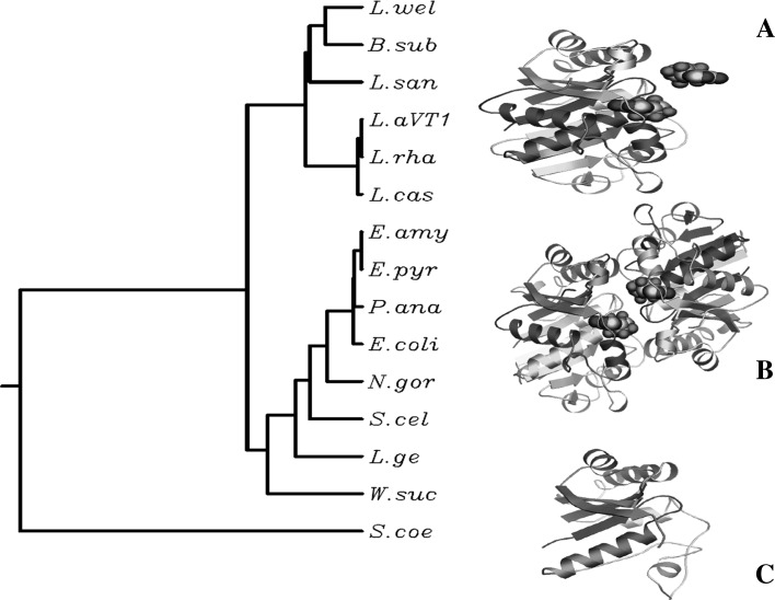 Fig. 2