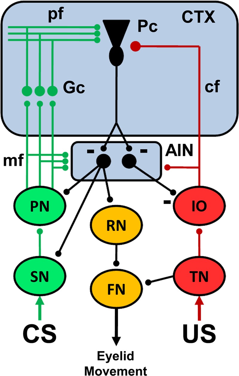 Figure 5.