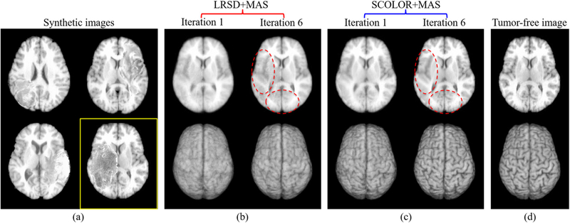 Fig. 4.