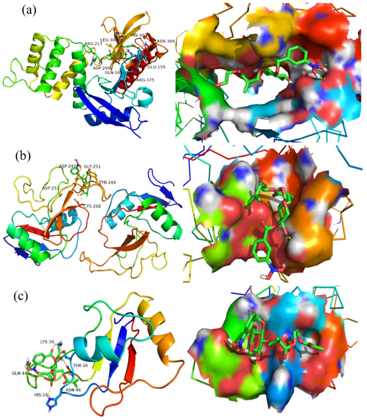 Figure 9